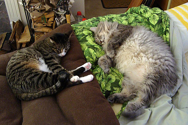 Andy and Reggie